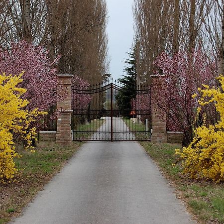 Agriturismo Corte Rocca San Giorgio di Mantova Eksteriør billede