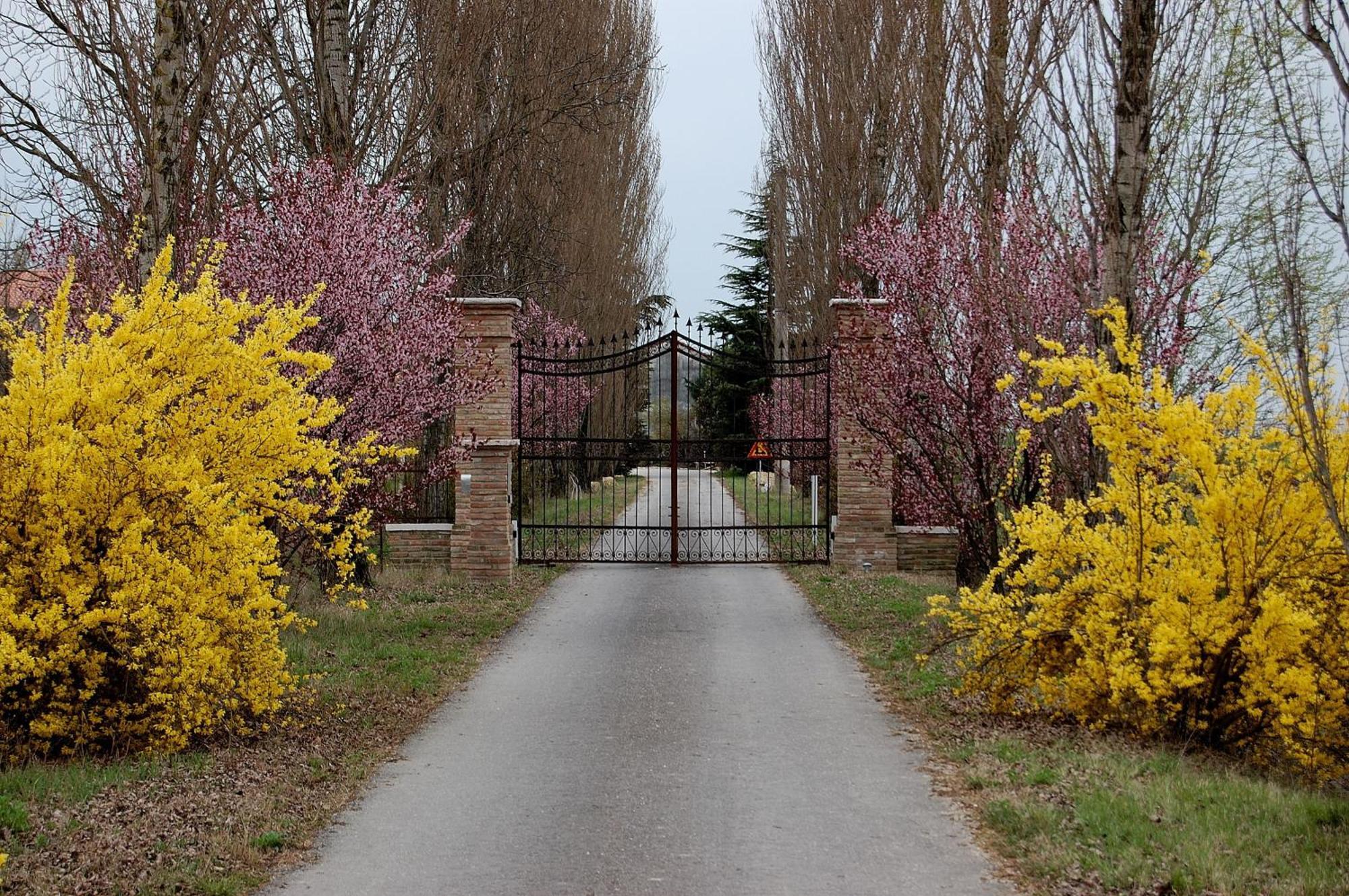 Agriturismo Corte Rocca San Giorgio di Mantova Eksteriør billede