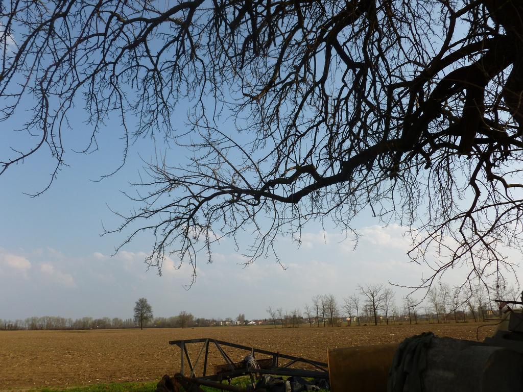 Agriturismo Corte Rocca San Giorgio di Mantova Eksteriør billede