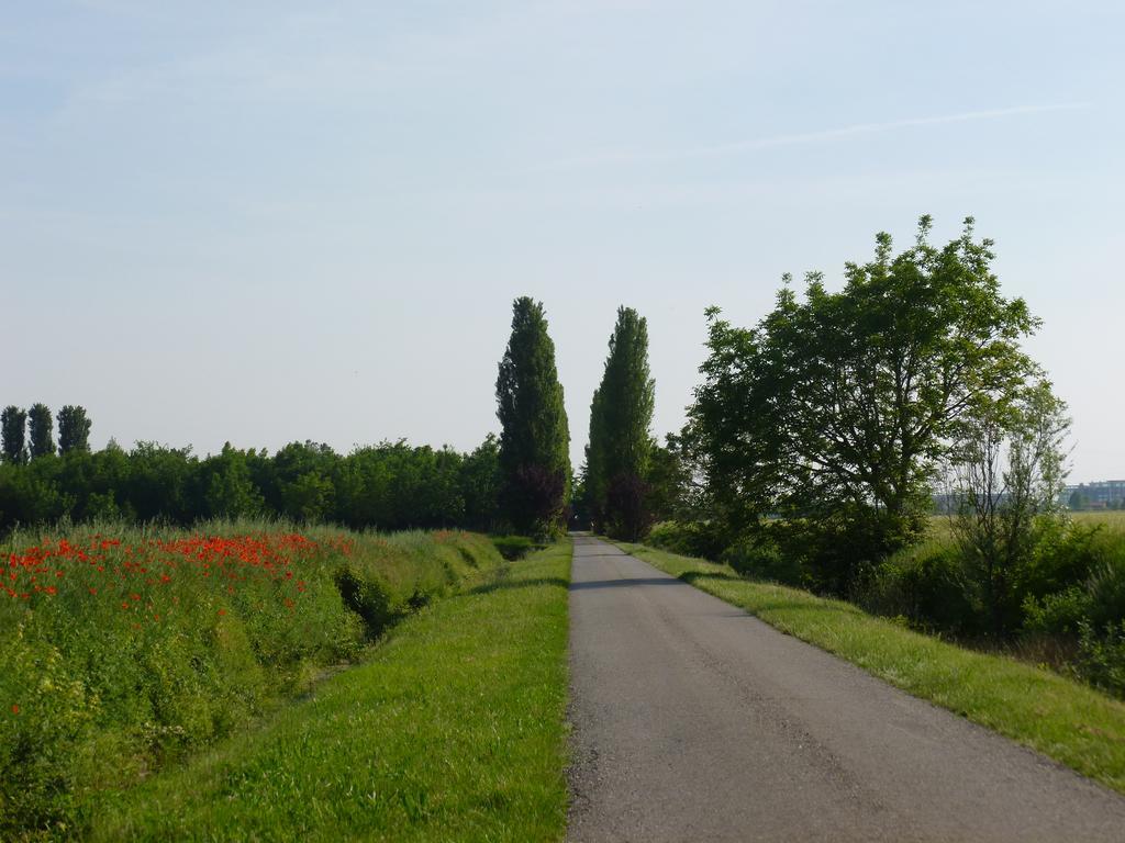 Agriturismo Corte Rocca San Giorgio di Mantova Eksteriør billede