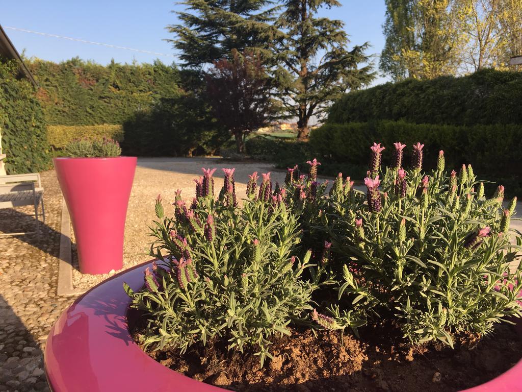 Agriturismo Corte Rocca San Giorgio di Mantova Eksteriør billede